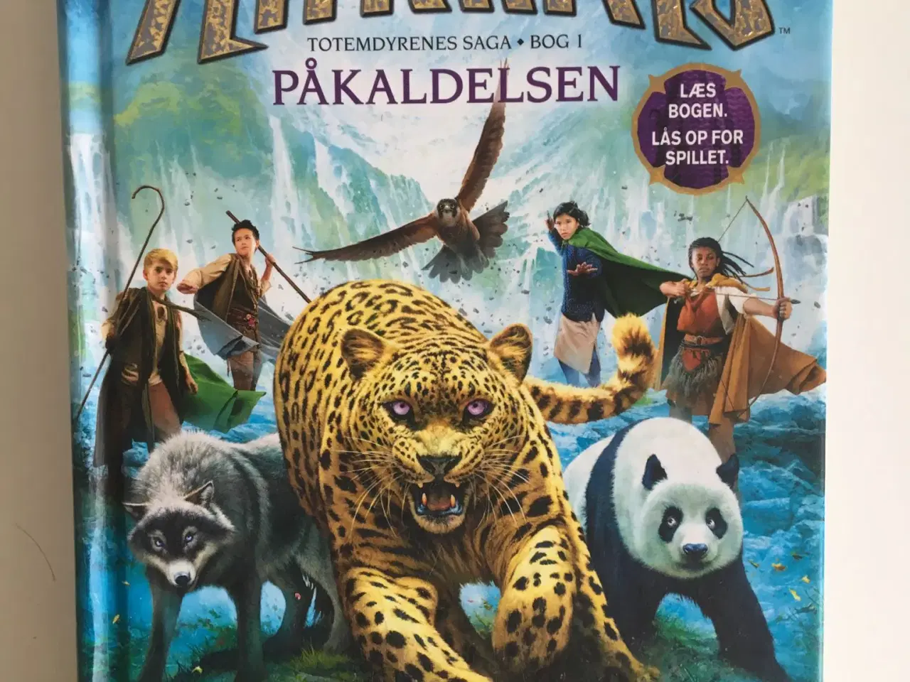 Billede 1 - Spirit animals påkaldelsen