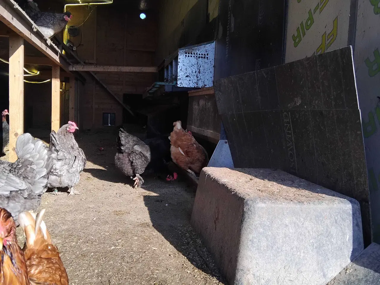 Billede 7 - Mobilt hønsehus