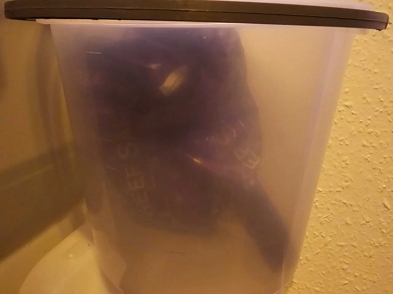 Billede 7 - Saltvandsakvarie AIO 75 liter