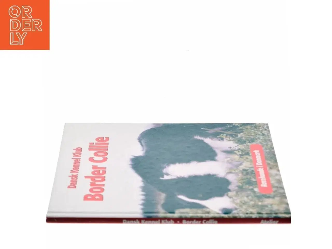 Billede 2 - Border Collie af Emmy Simonsen (Bog)