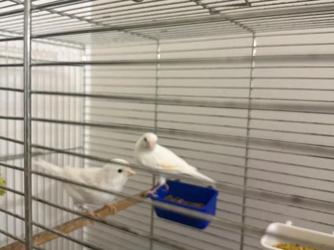 Billede 7 - Beskrivelse af varen