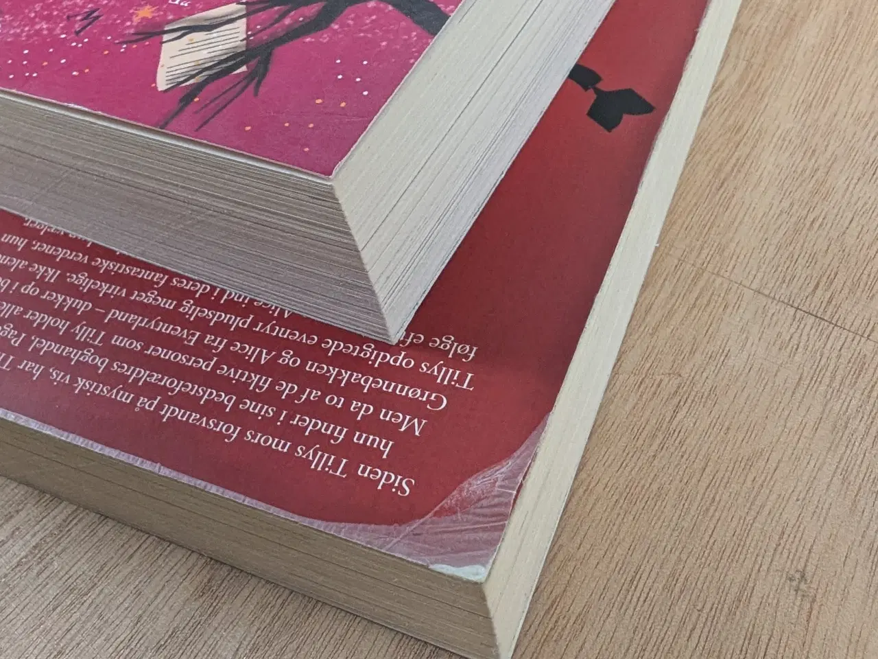 Billede 3 - Den Magiske Boghandel