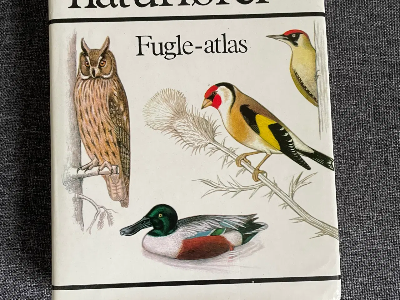 Billede 1 - Lademanns Naturfører - Fuglearlas