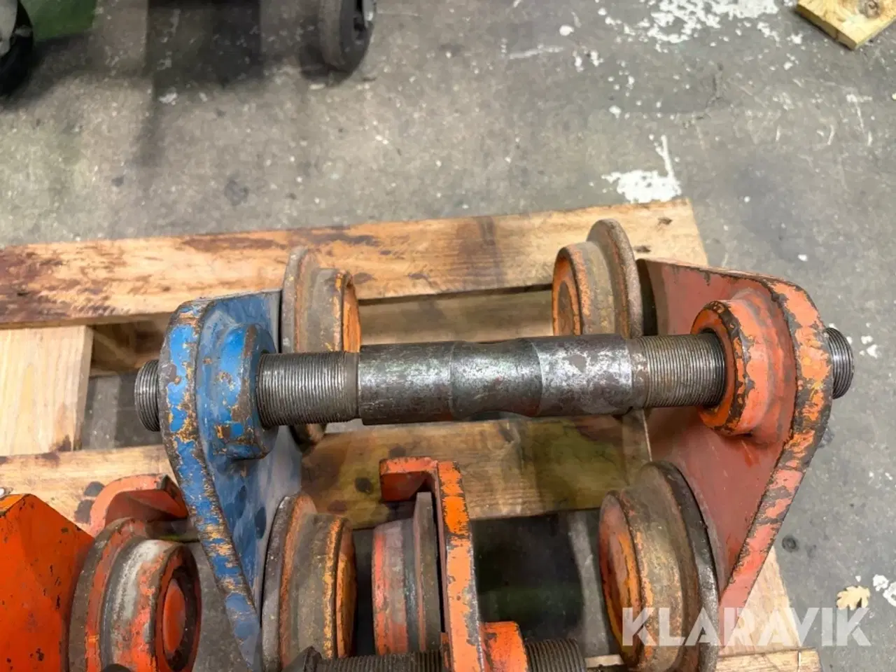 Billede 12 - Løbe katte 3 styk.