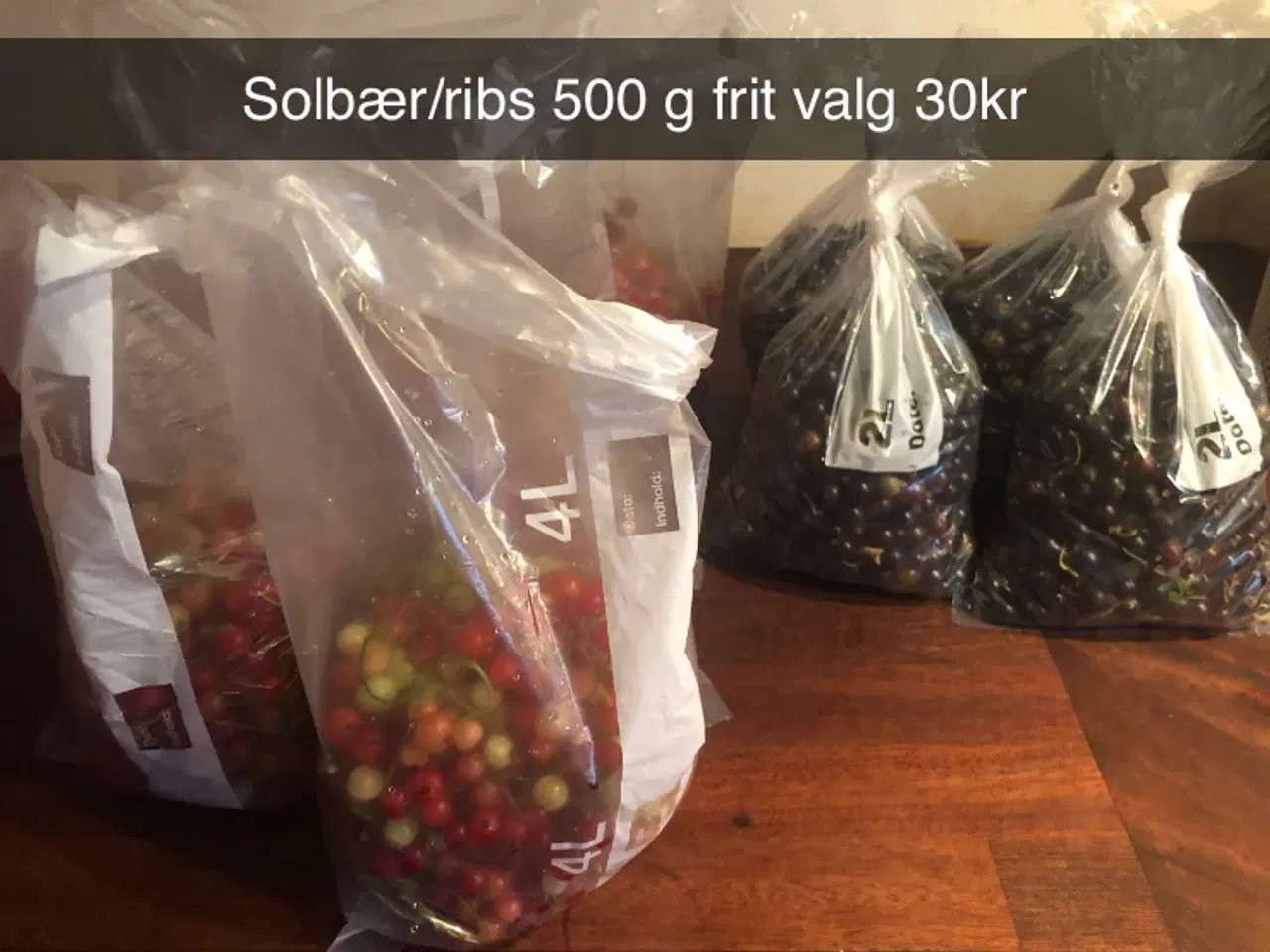 Billede 1 - Nyplukkede ribs/solbær