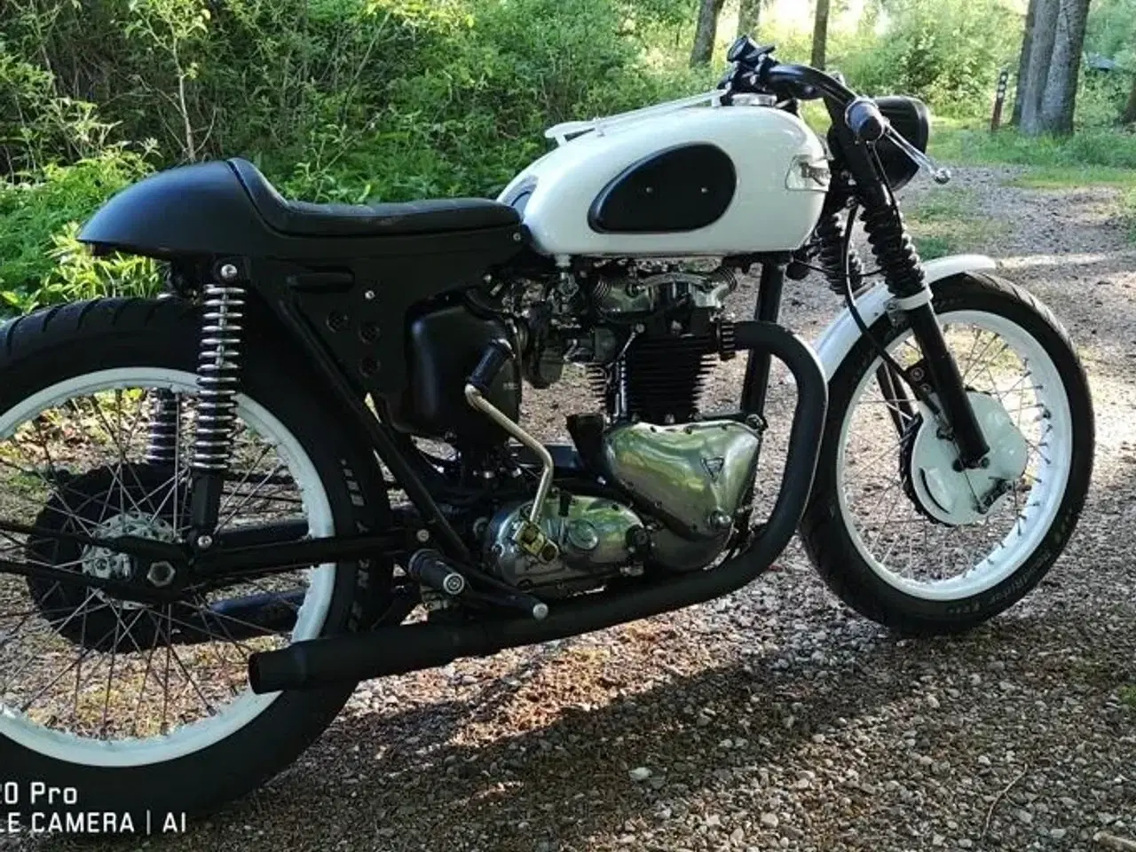 Billede 5 - Triumph