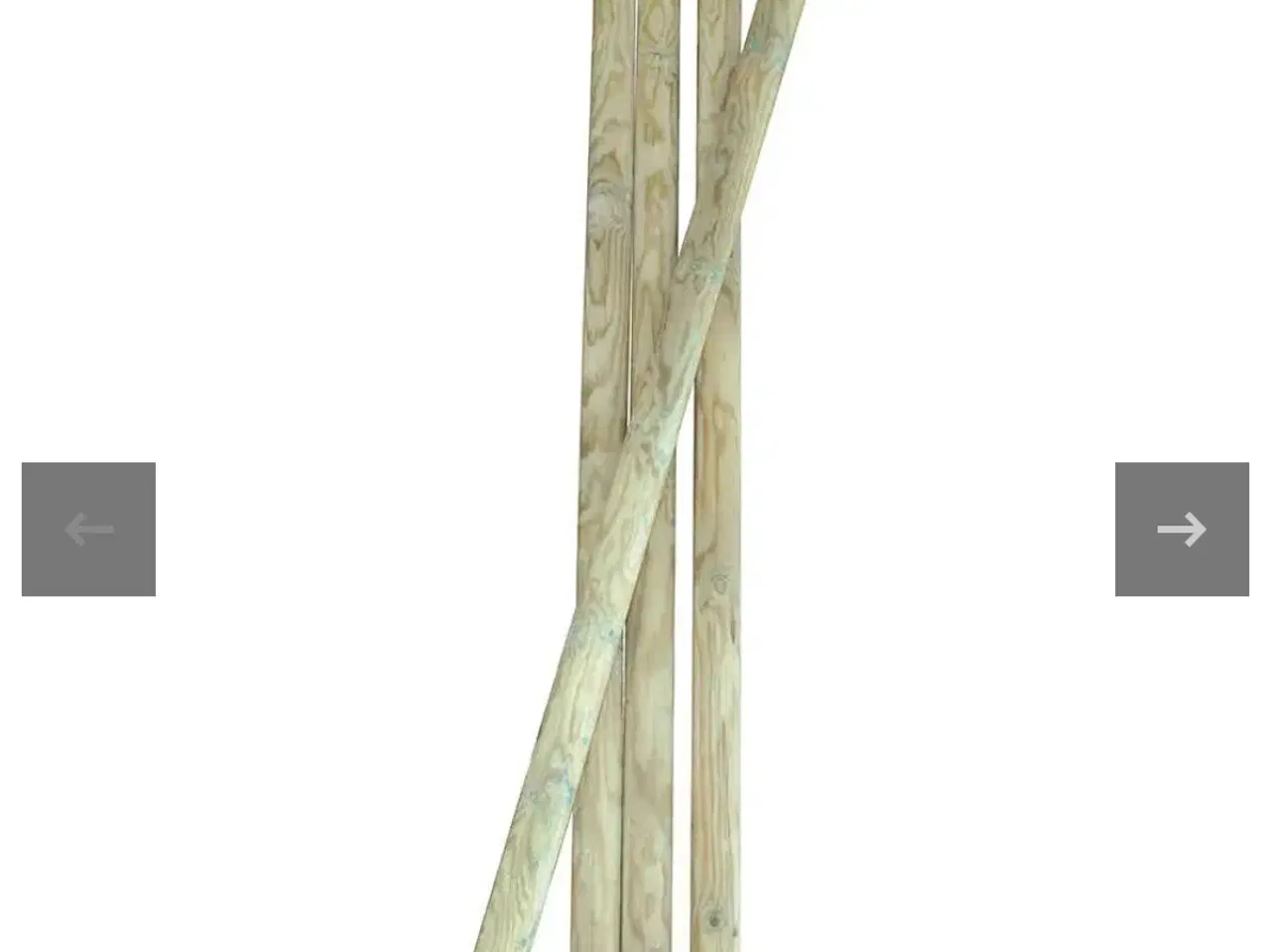 Billede 2 - Hegnspæle i trykimprægneret træ
