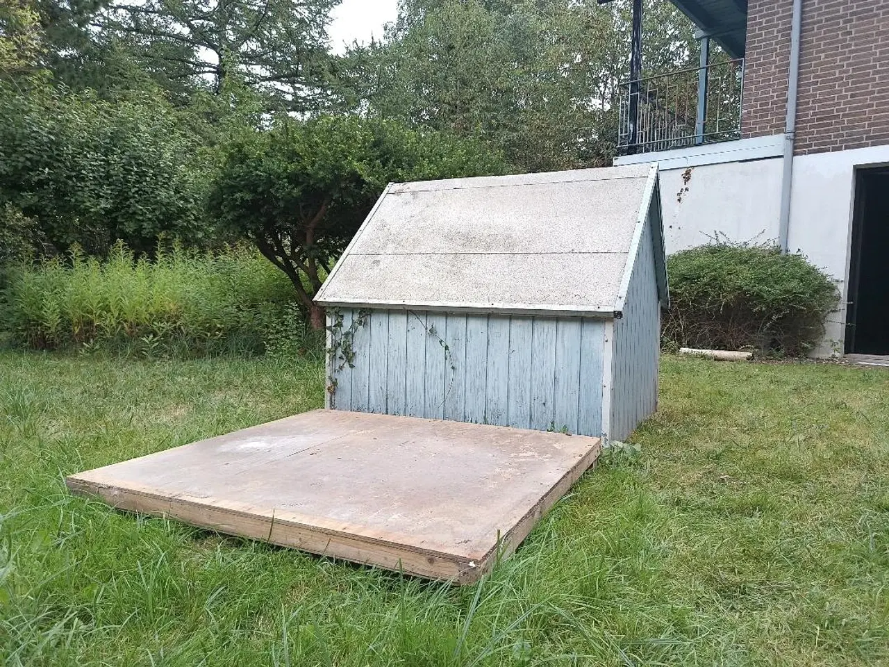 Billede 2 - Stort hundehus kan afhentes gratis.