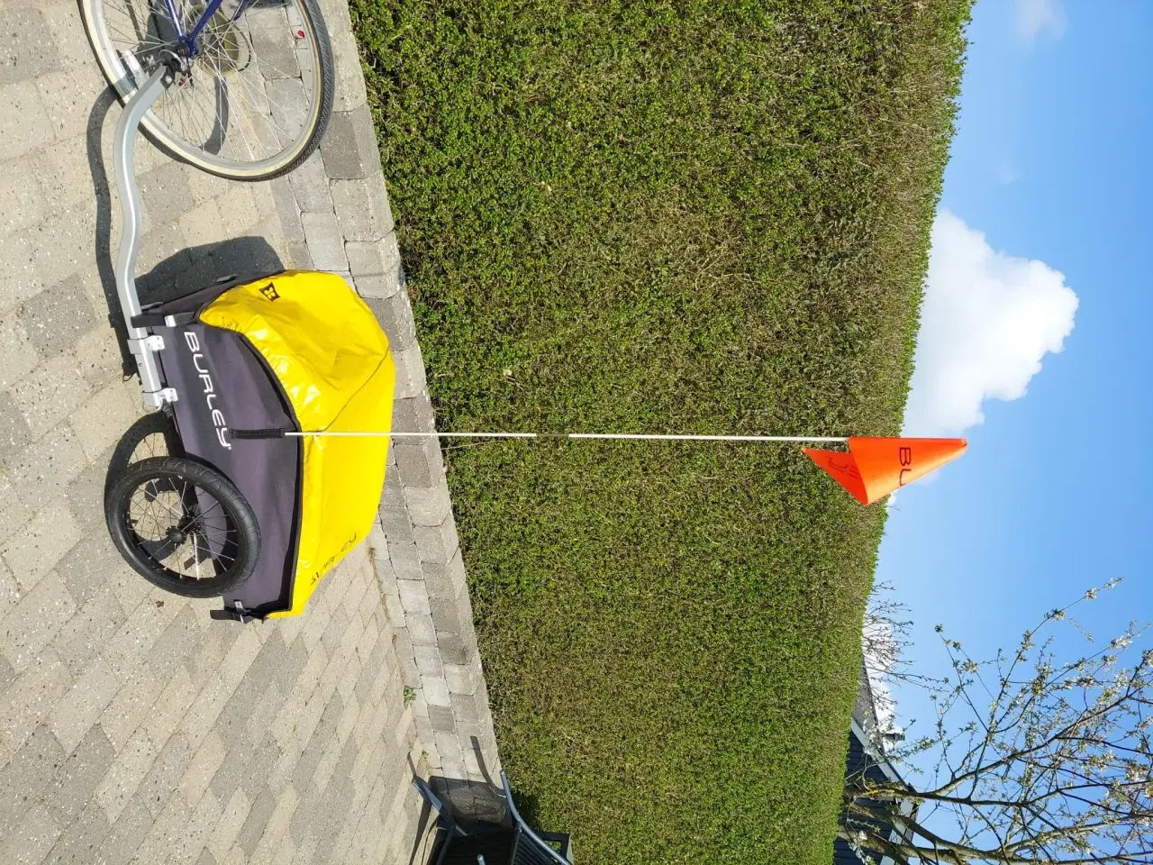 Billede 1 - Burley Nomad cykelanhænger