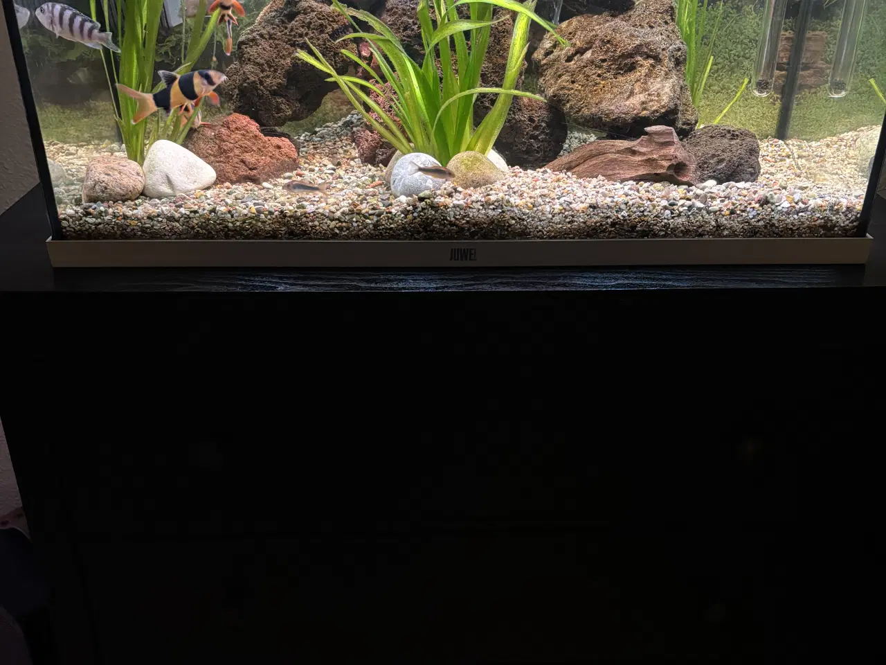 Billede 2 - Akvarie 120l