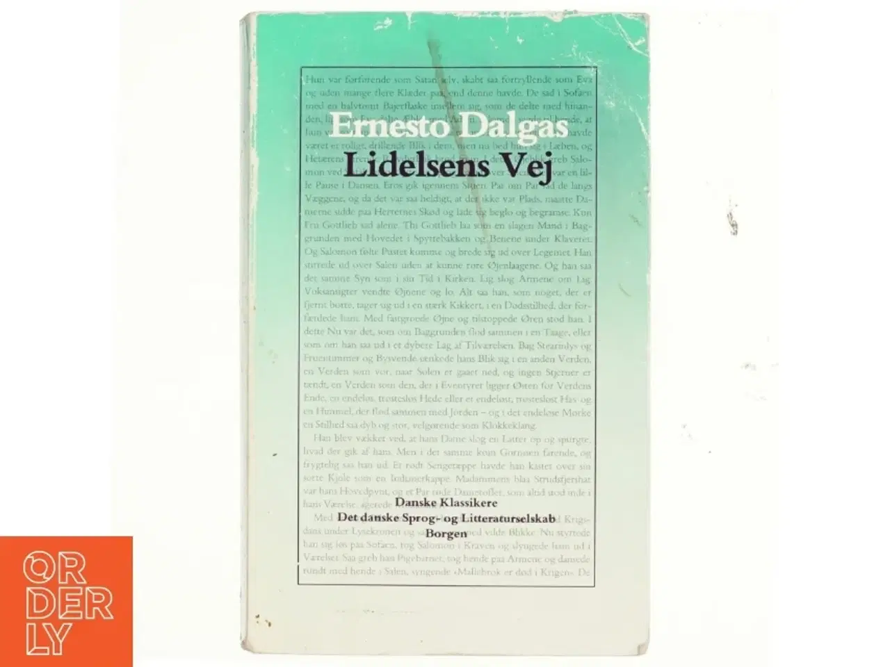 Billede 1 - Lidelsens vej af Ernesto Dalgas