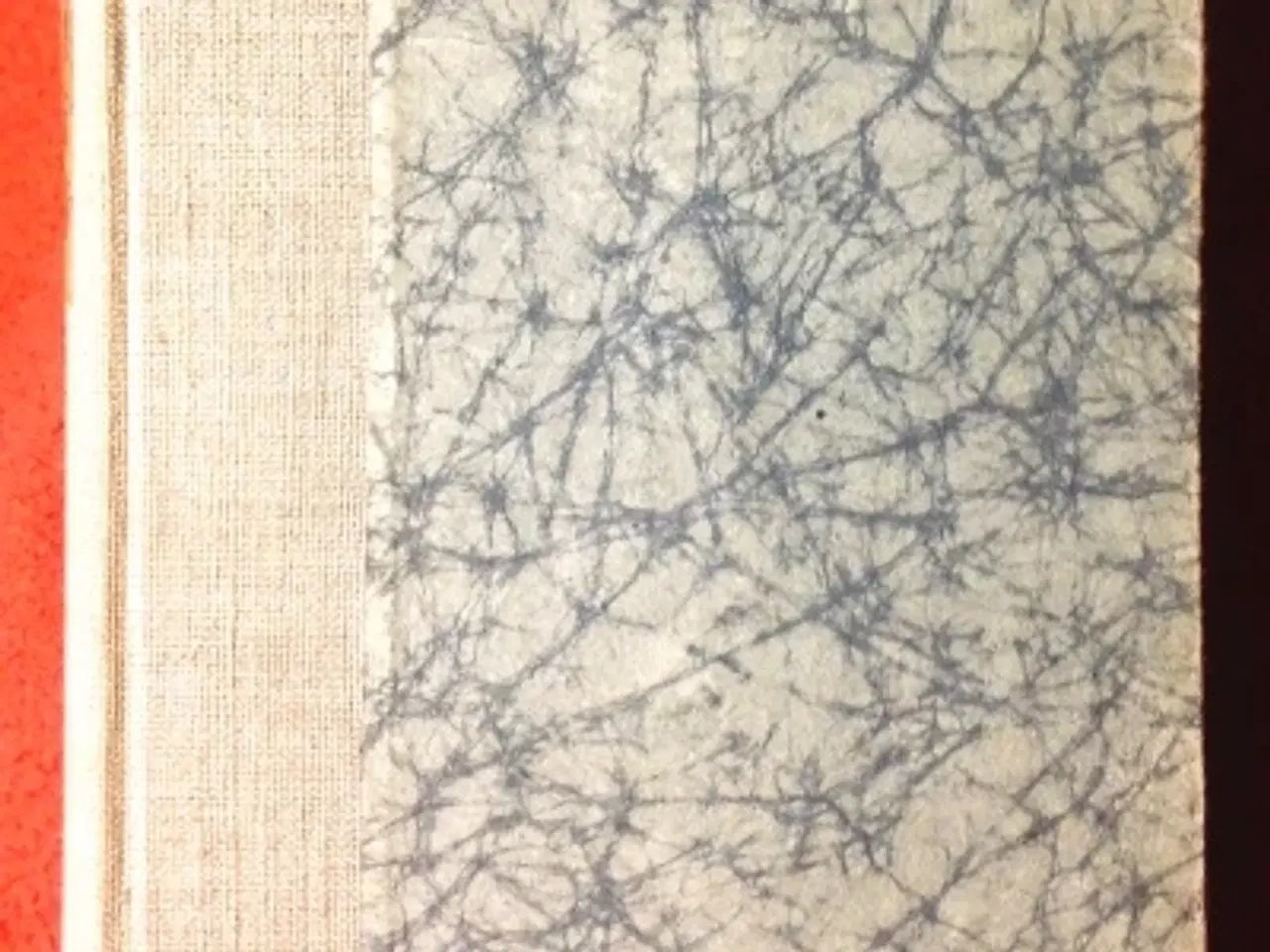 Billede 1 - Carl Ewald: Min lille Dreng