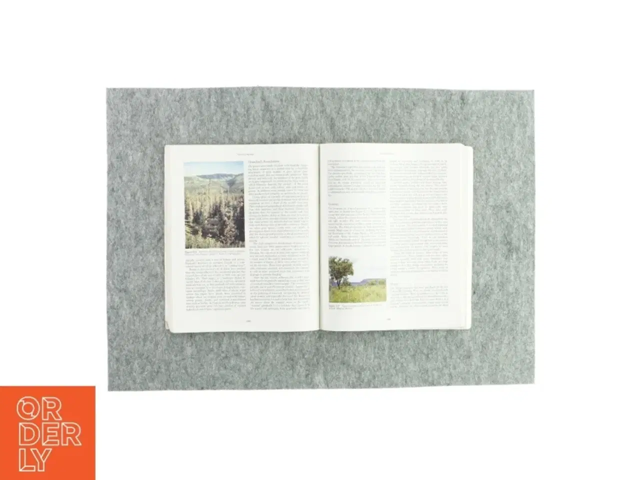 Billede 3 - Essentials of physical geography af Ralph C. Scott (bog)