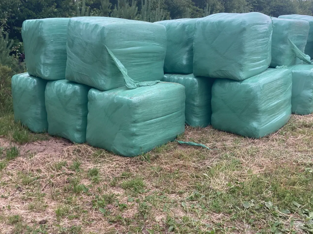 Billede 1 - Wrap 1 slæt 2025
