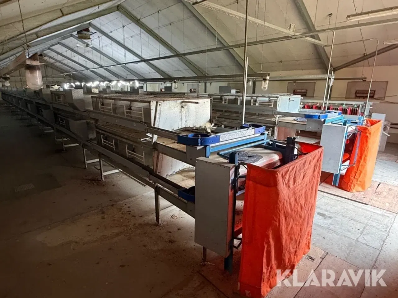 Billede 8 - Produktionslinje Big Dutchman + Landmeco æglægger system