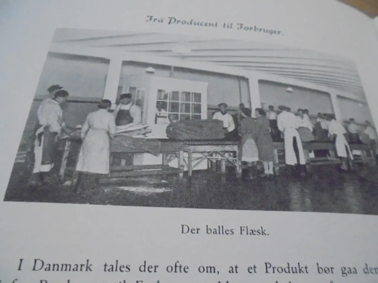 Billede 5 - Hjørring amts andels-svineslagteri 1891-1941 