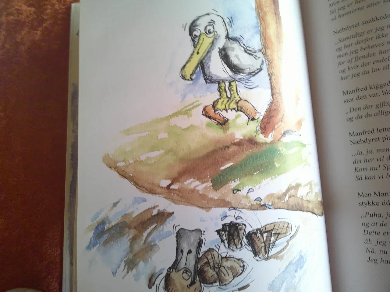 Billede 3 - Bymågen Manfreds helt fantastiske rejse