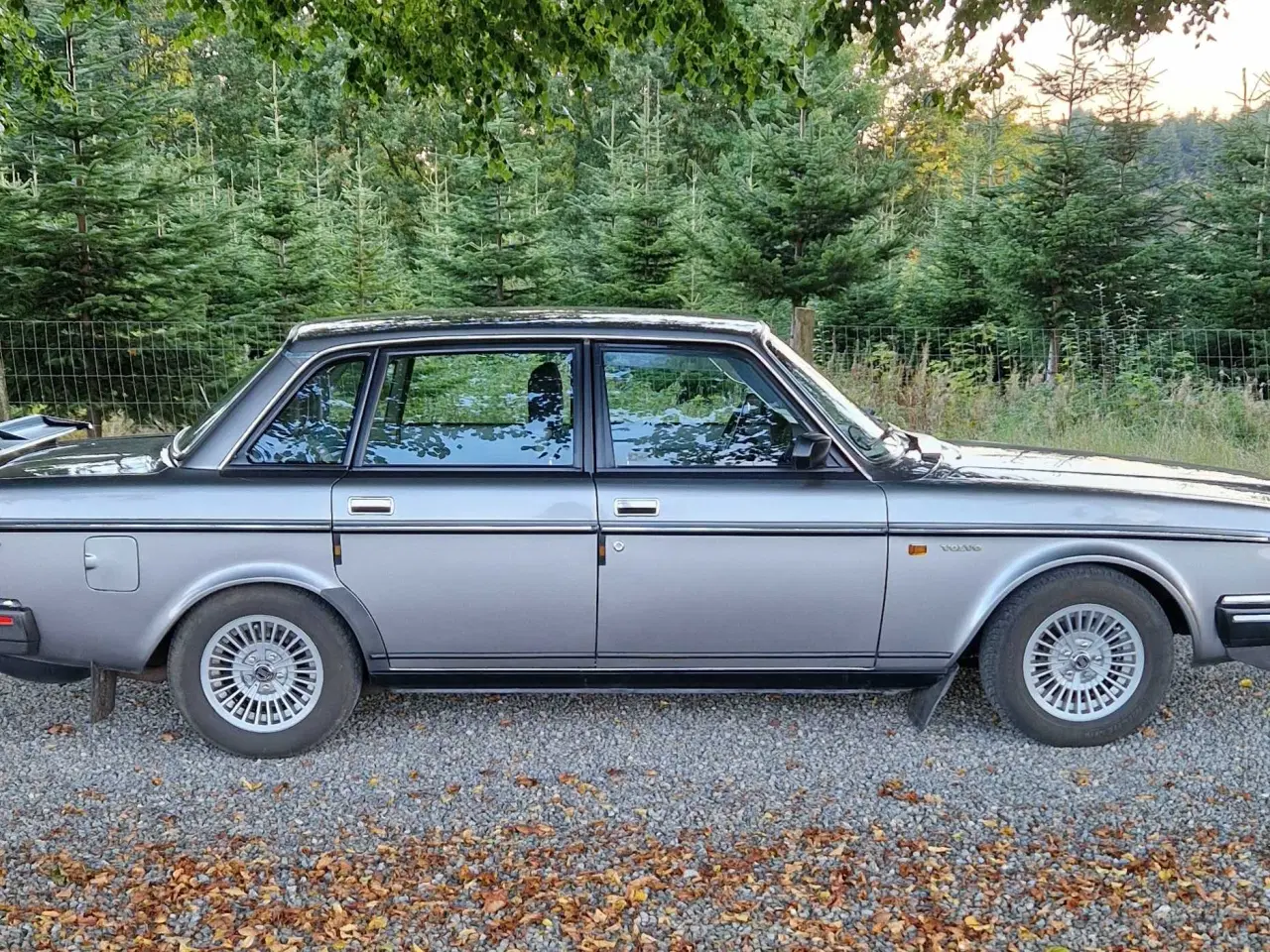 Billede 9 - Volvo 240 GL - topudstyret 