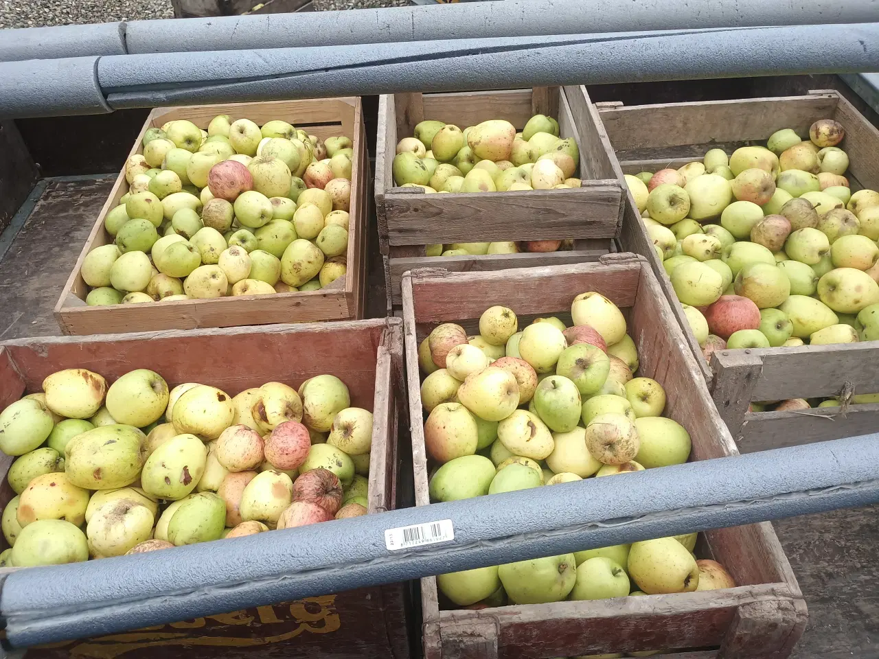 Billede 1 - Æbler gratis 