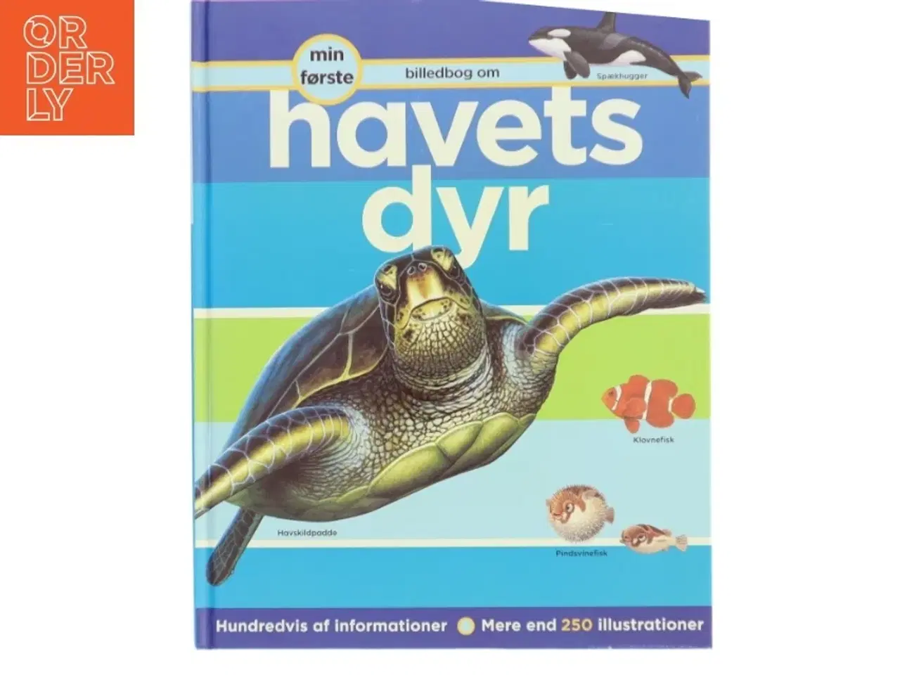 Billede 1 - Min første billedbog om havets dyr af Robert Coupe (Bog)