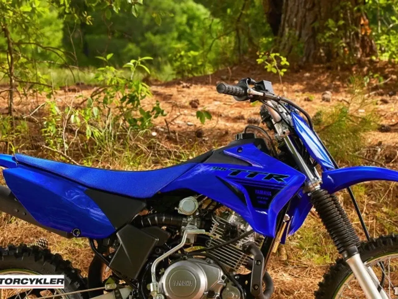 Billede 19 - Yamaha TTR 125