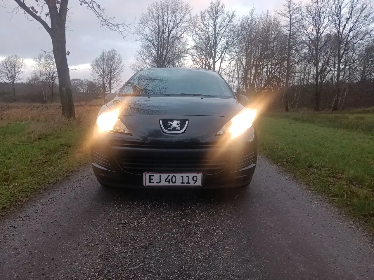 Billede 16 - Peugeot 207
