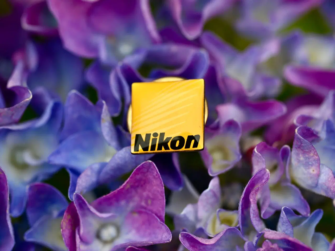 Billede 1 - Nikon Logo Jakkenål
