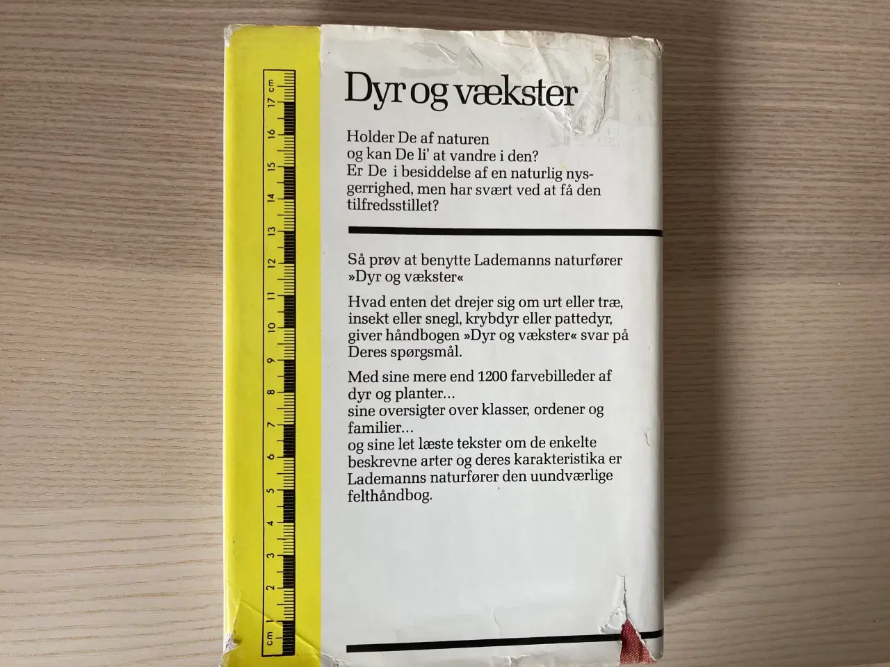 Billede 2 - Lademanns naturfører - Dyr og vækster