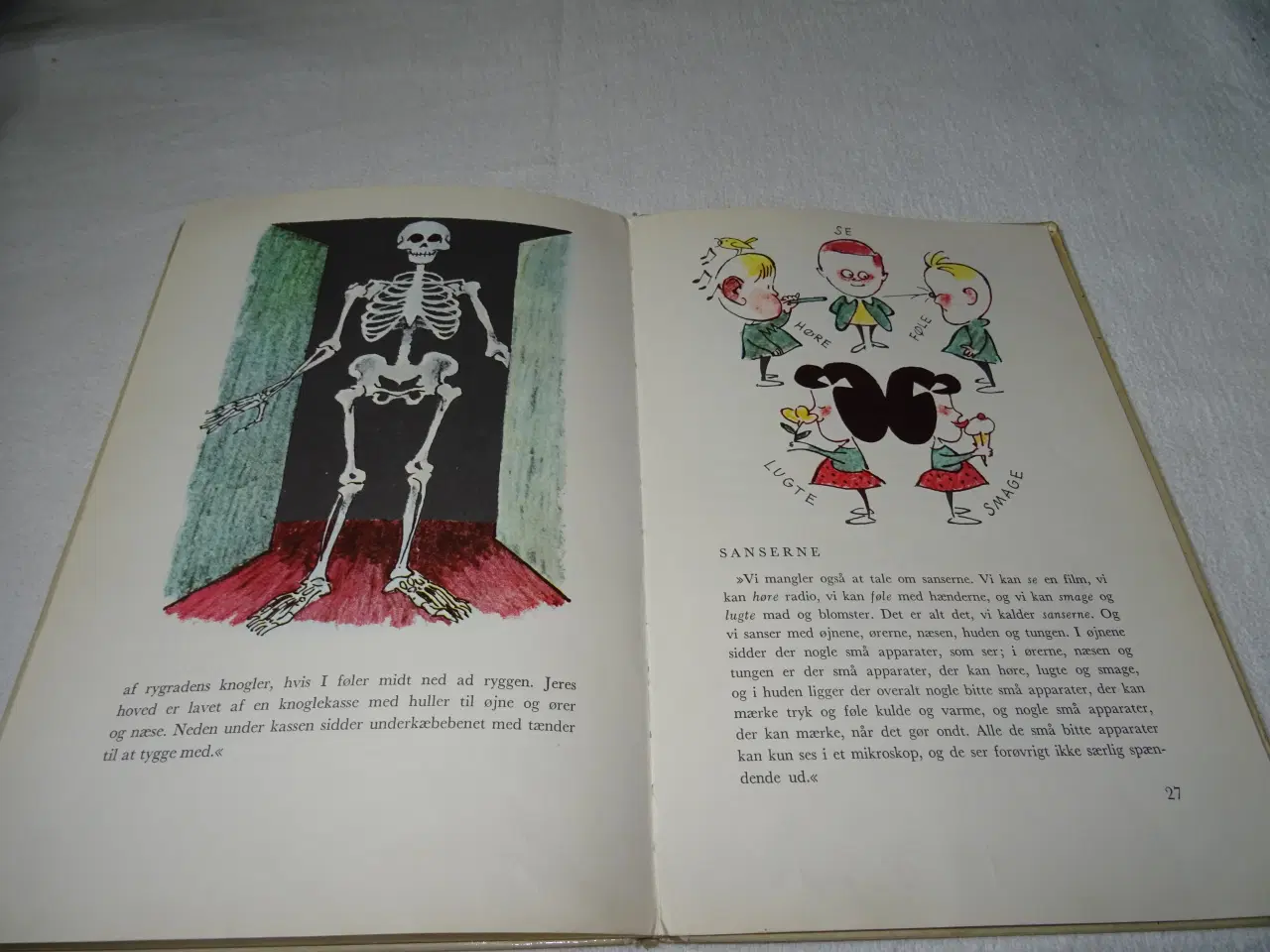 Billede 5 - Lidenlund + Hegeler lege doktor