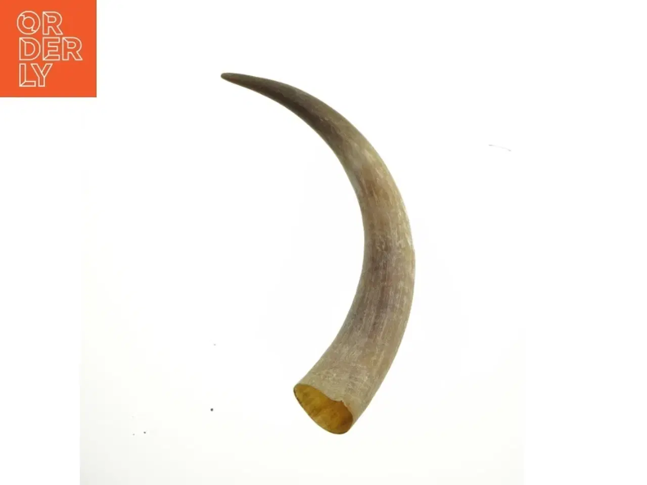 Billede 3 - Dekorativt horn