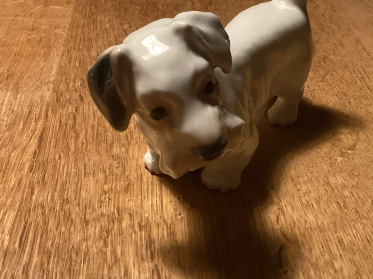 Billede 3 - Bg Skotsk Terrier Hund