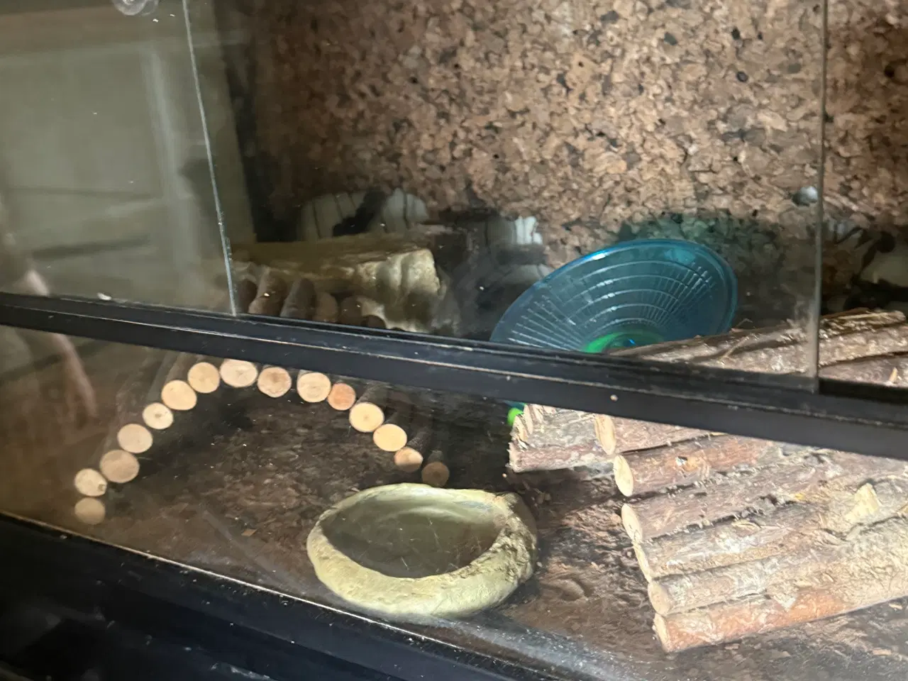 Billede 10 - Stor terrarie-reol med 7 terrarier og masser af ud