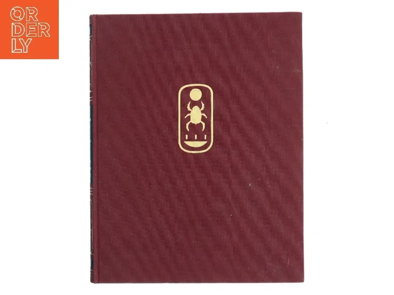 Billede 1 - Den gyldne gry af Torsten K. Dahn (Bog)