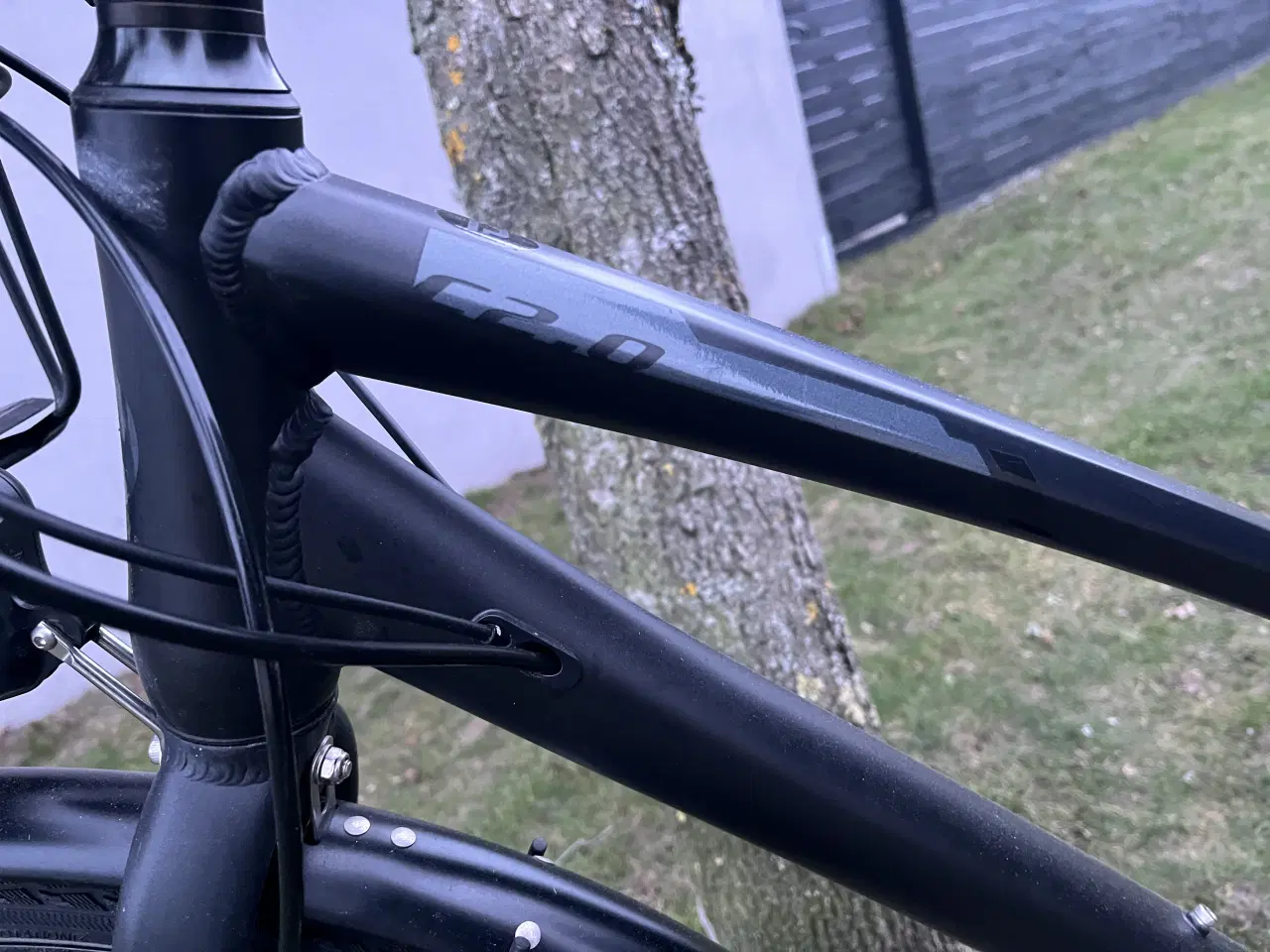 Billede 2 - Companion C2.0 