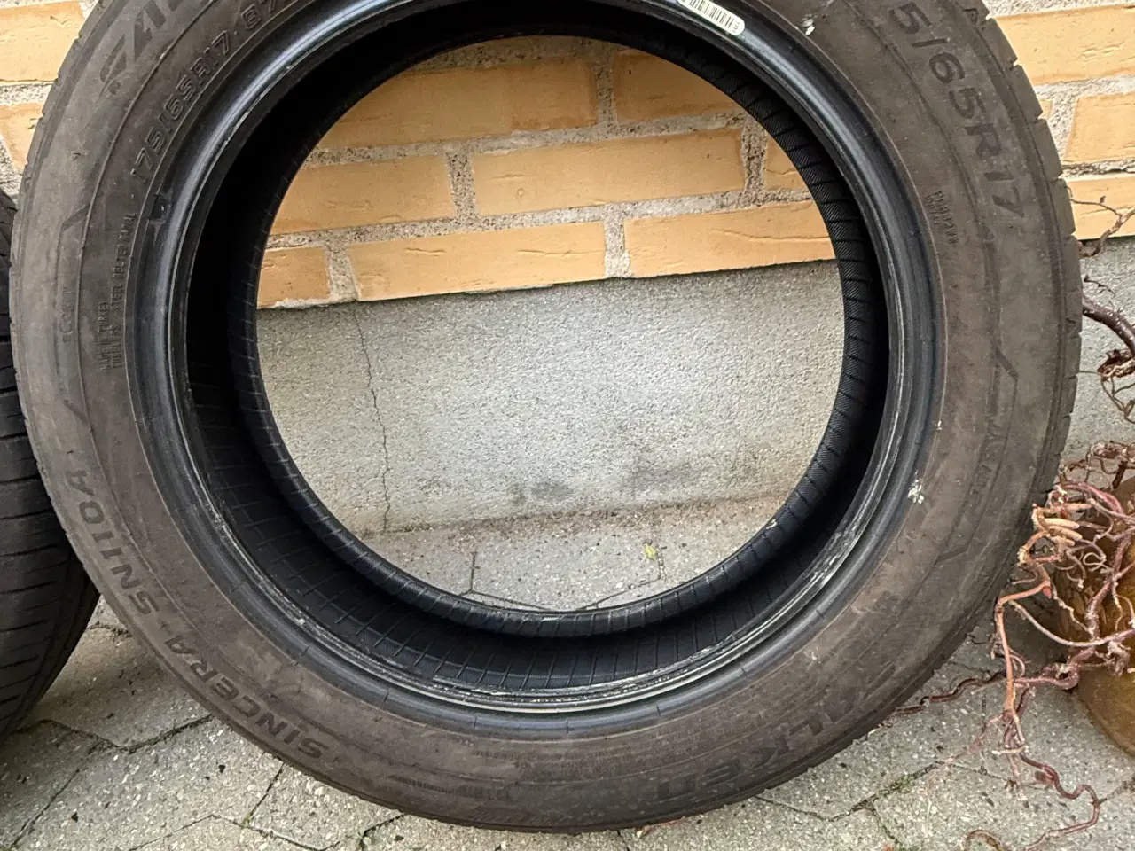 Billede 8 - Sommerdæk