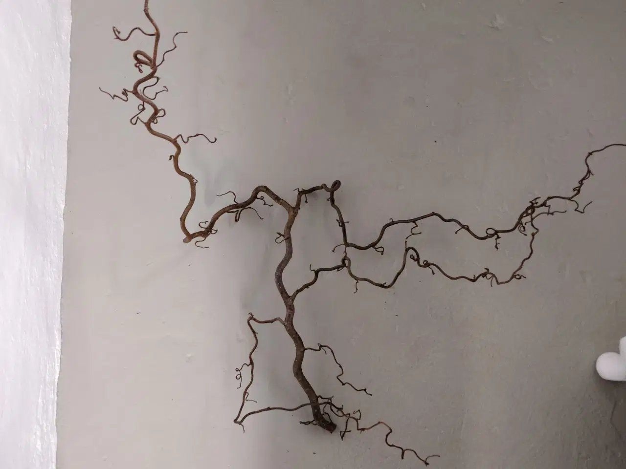 Billede 1 - Troldegren