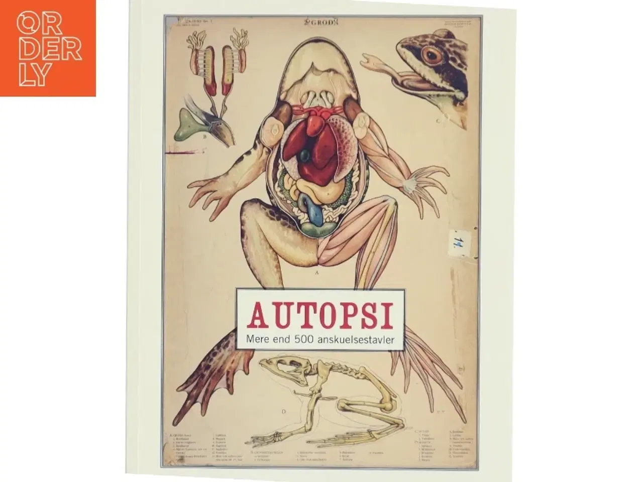 Billede 1 - Autopsi af Kristina Ask (Bog)