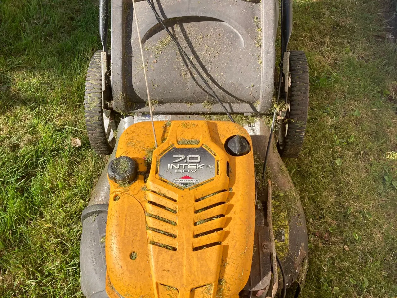Billede 1 - Plæneklipper