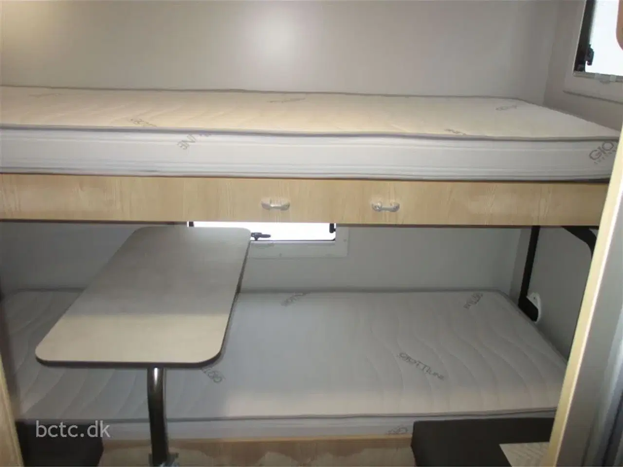 Billede 6 - 2026 - Giottiline Sienna