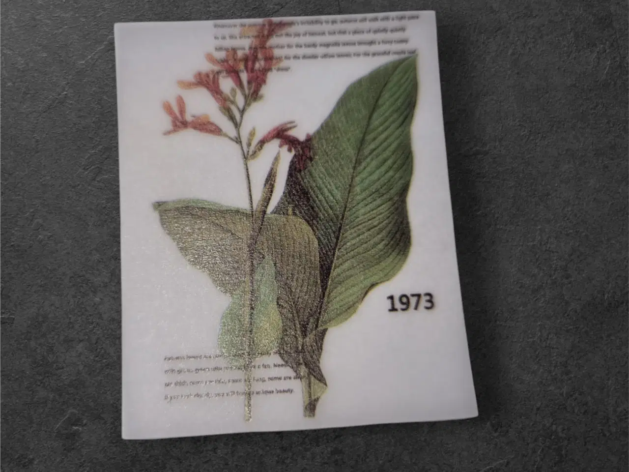 Billede 1 - Vintage papirark med botanisk motiv og årstal 1973