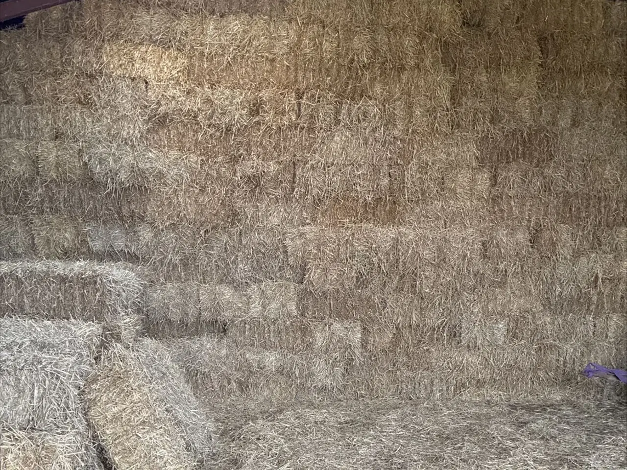 Billede 2 - Vårbyghalm småballer