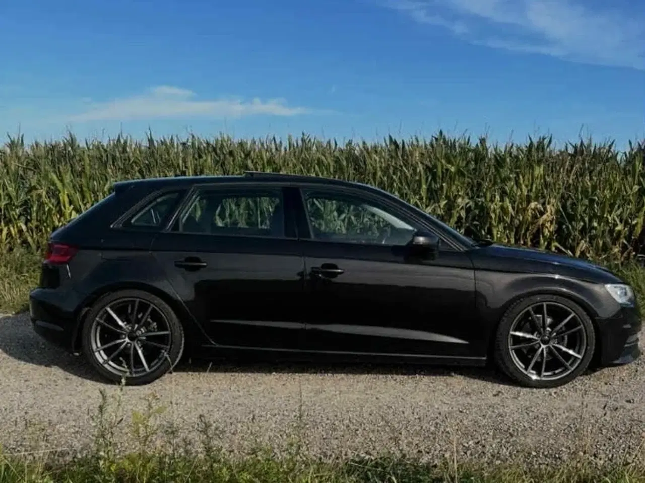 Billede 5 - Audi A3 1,6 TDi Ambiente Sportback