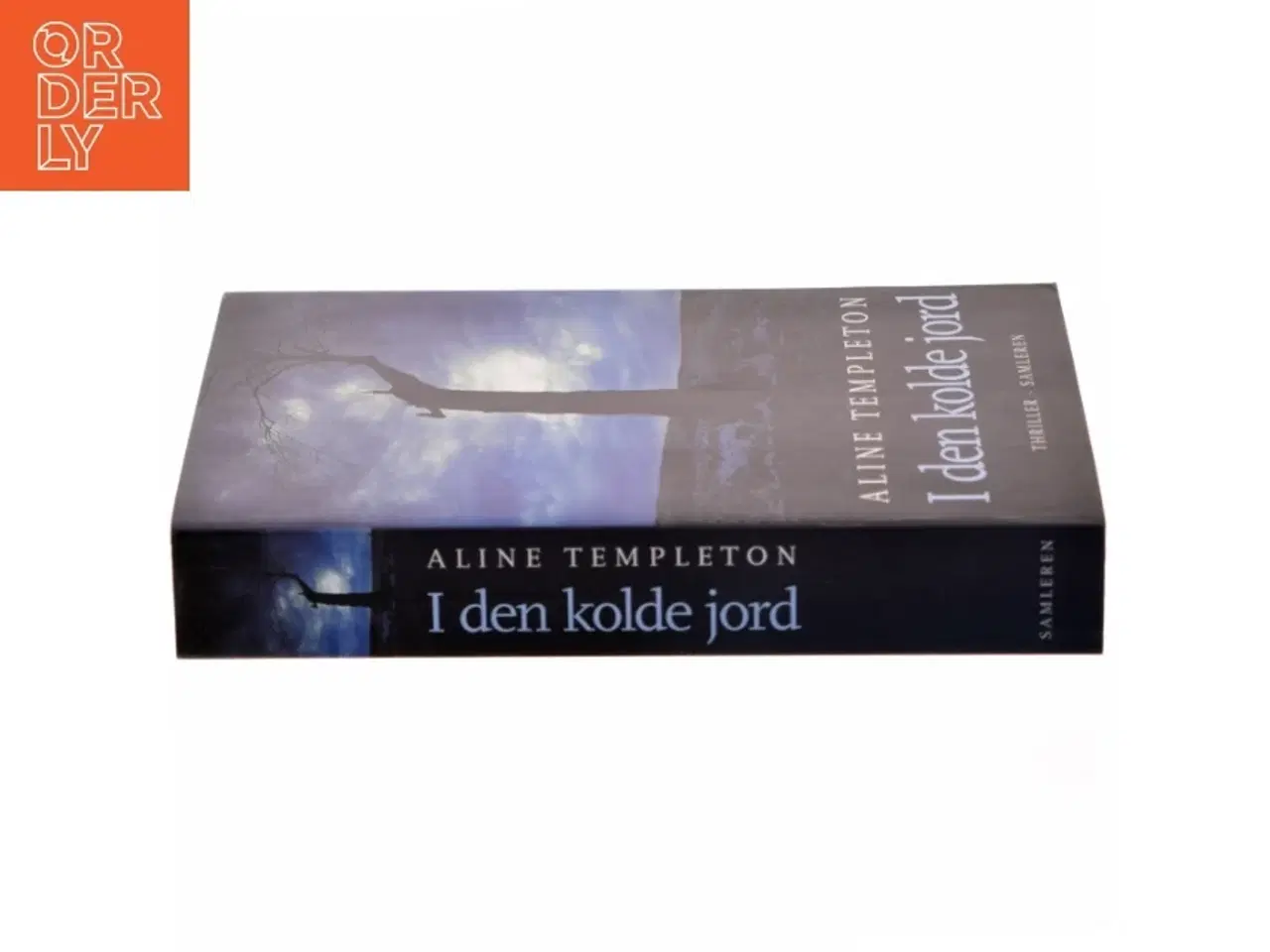 Billede 2 - I den kolde jord : thriller af Aline Templeton (Bog)