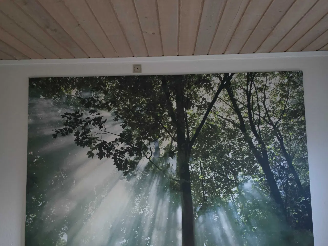 Billede 1 - Rigtig flot Skov Billed på Lærred 