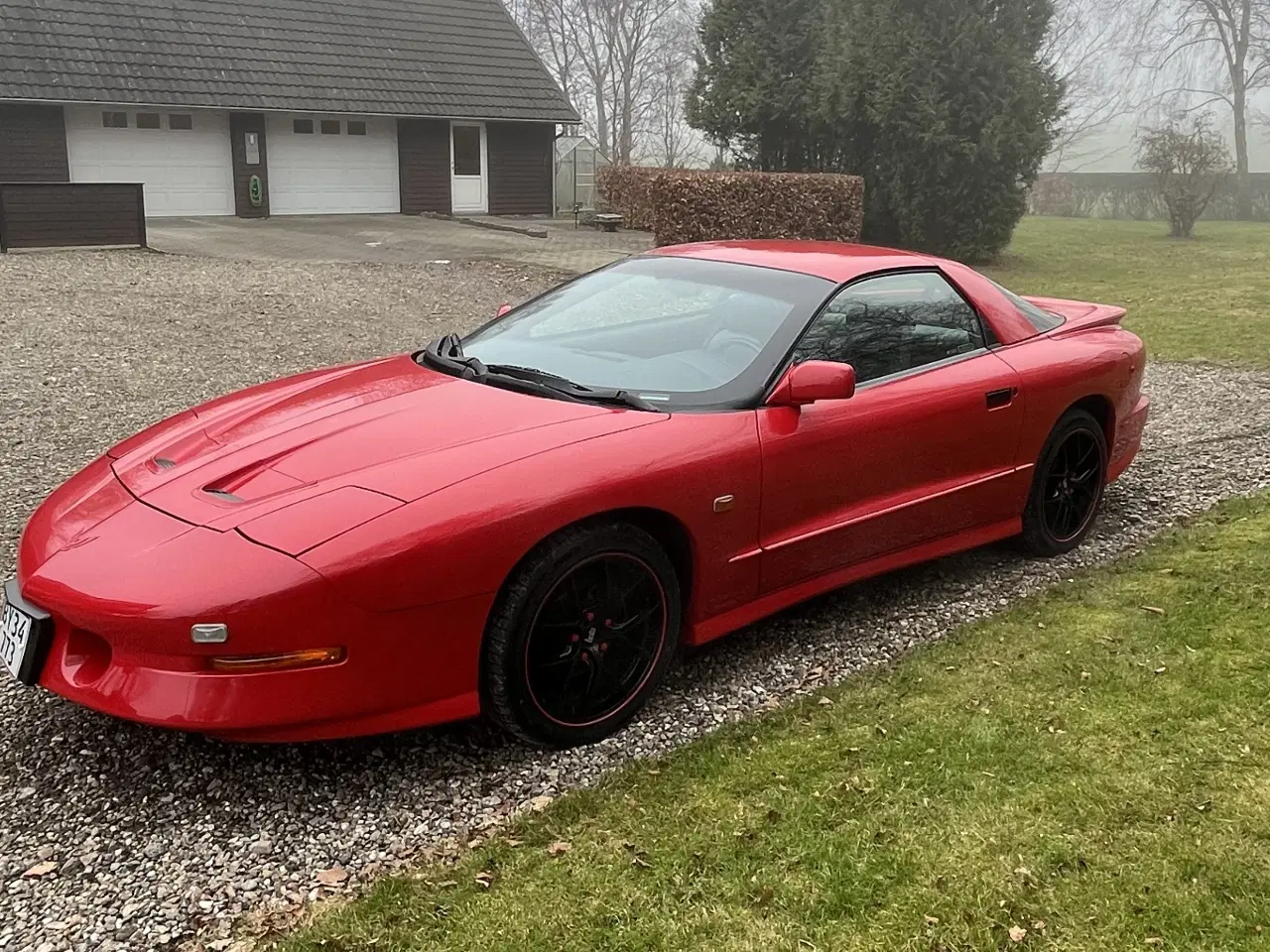 Billede 10 - Pontiac Trans Am V8