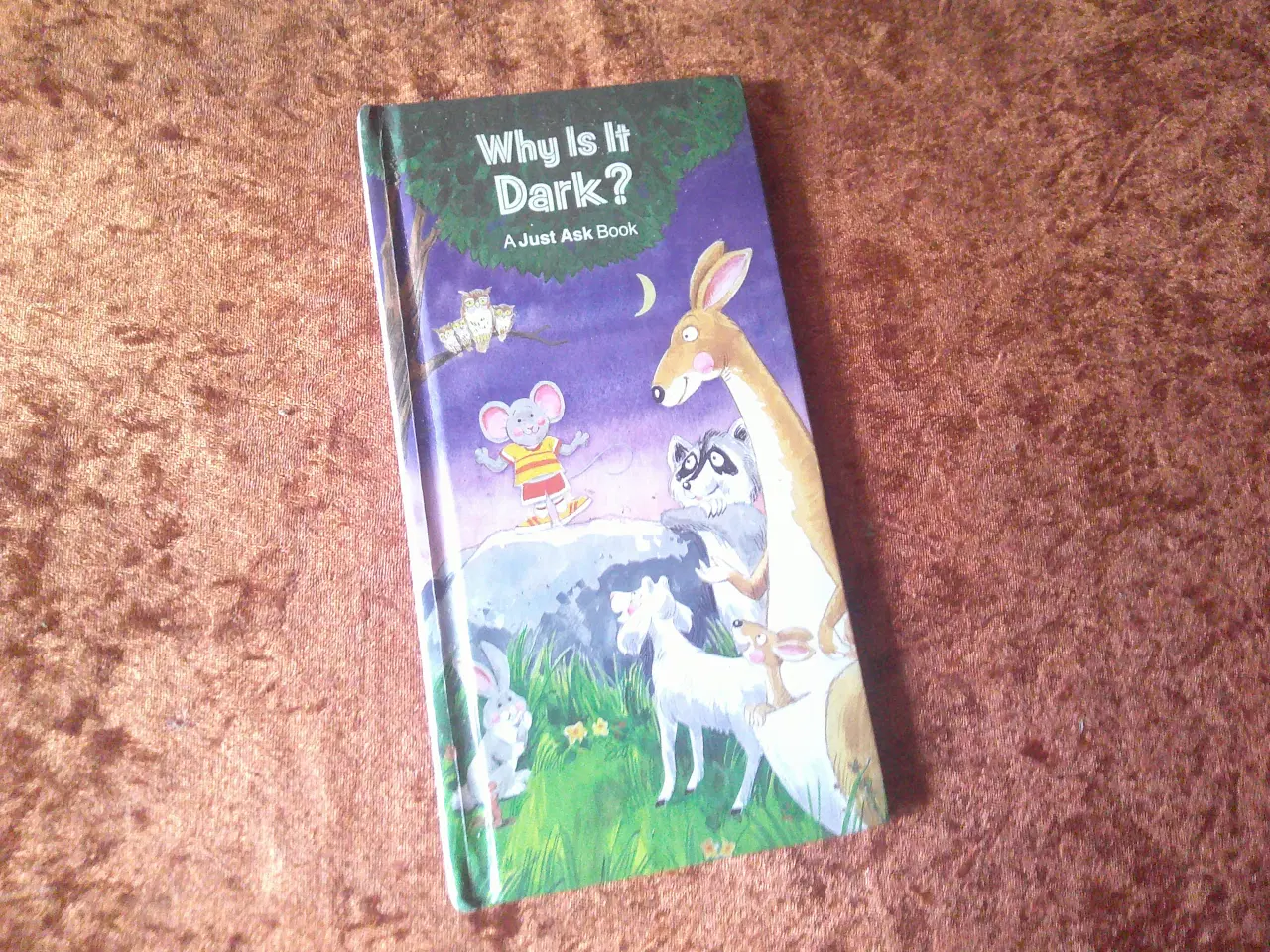 Billede 1 - Why Is It Dark? , Chris Arvetis, 
