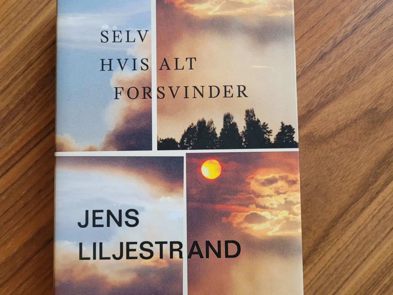 Billede 1 - Selv Hvis Alt Forsvinder, Jens Liljestrand