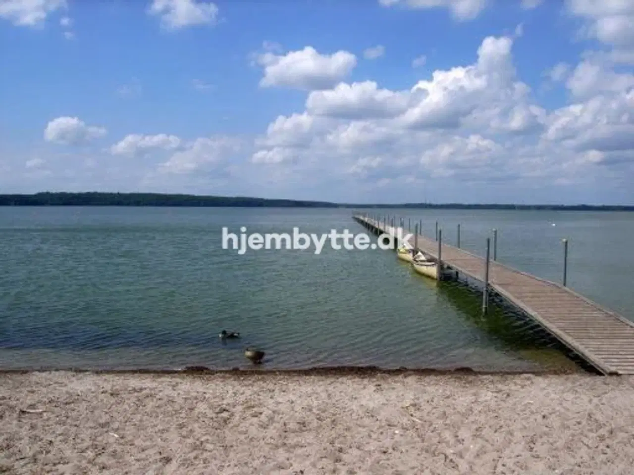 Billede 2 - Hjembytte - Lavendelhaven