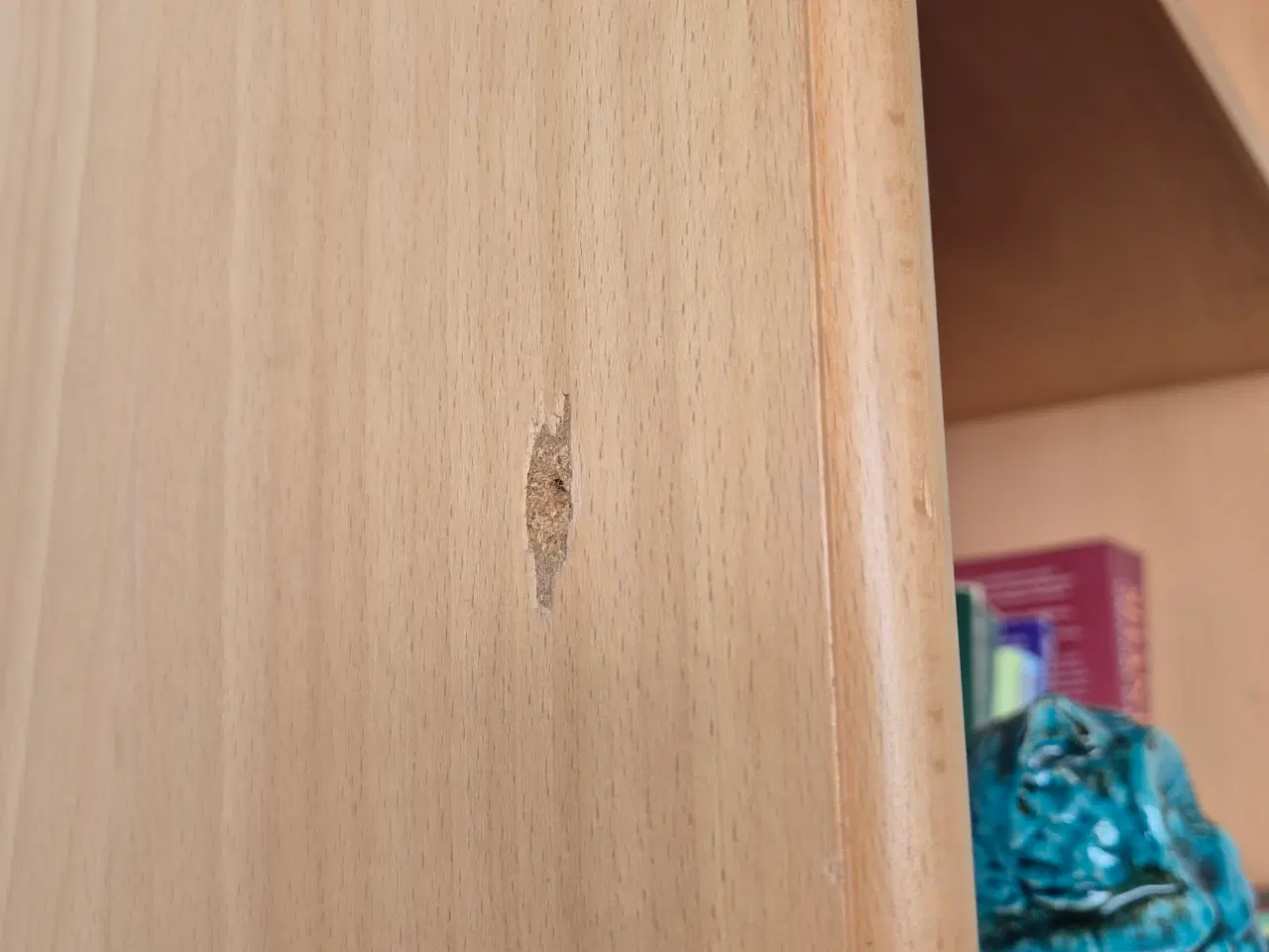 Billede 2 - 2 Botium reoler