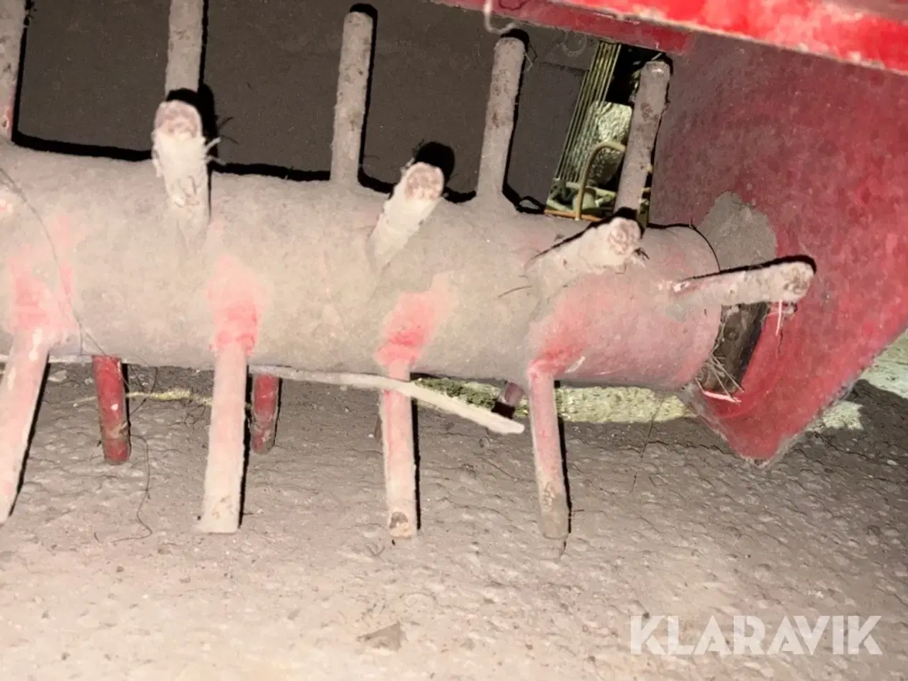 Billede 6 - Stenrive Westbjørn 1250 Diamant